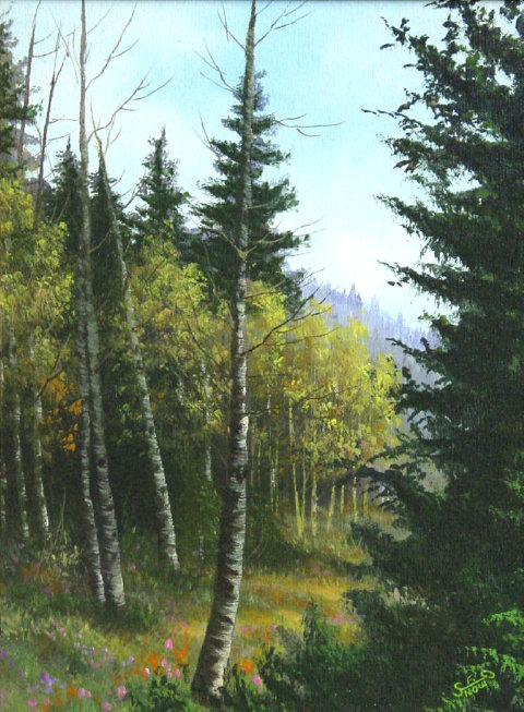 In the Woods